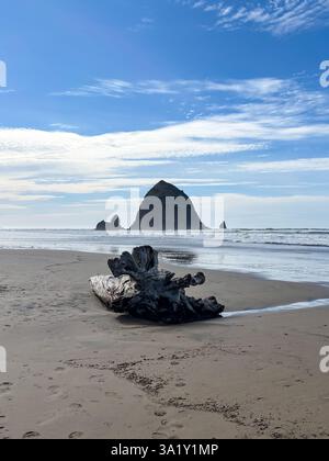 Haystack Rock et Driftwood Beach scène Banque D'Images