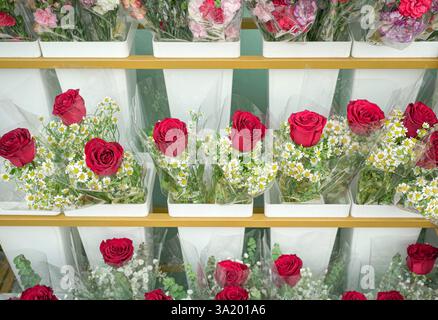 Roses enveloppées dans un bouquet de plasticas sur l'affichage au magasin de fleurs. Célébration ou concept de petite entreprise. Banque D'Images
