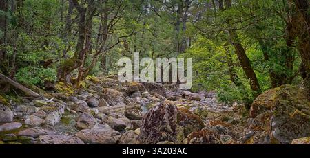 Panorama du lit rocheux de la rivière Meander avec un feuillage vert surplombant les arbres de Meander Falls Trail, Great Western tiers, Deloraine, Tasmanie, Australie Banque D'Images