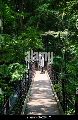 Un couple et leur chien de compagnie marchent sur l'un des ponts pédestres qui traversent la rivière Tama le long des nombreux sentiers de trekking et de nature dans la luxuriante Oku-T. Banque D'Images