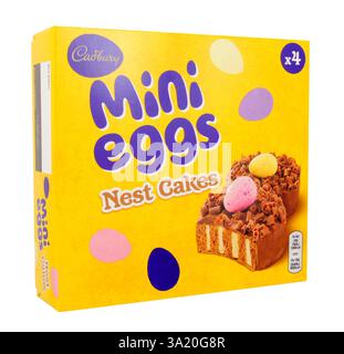 Cadbury Pâques mini œufs nid gâteaux dans une boîte contenant quatre gâteaux éponges décorés de boucles de chocolat et un mini œuf Banque D'Images