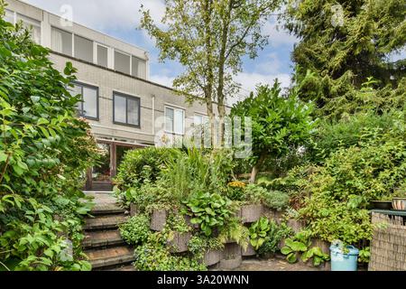 Un jardin animé avec une verdure variée et une architecture contemporaine élégante, améliorant la beauté naturelle de l'espace extérieur. Banque D'Images