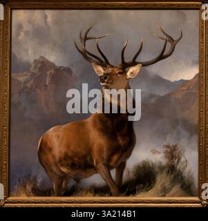 The Monarch of the Glen, National Galleries of Scotland à Édimbourg Banque D'Images