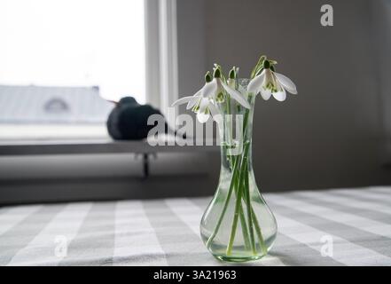 Gouttes de neige blanches dans un vase en verre. Photo : Bo Arrhed Banque D'Images
