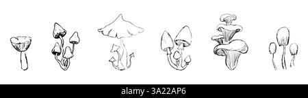 Dessin de doodle d'esquisse de champignon, plante de ligne de forêt de fantaisie. Mettez en place des champignons botaniques dessinés à la main. Signe de tatouage linéaire. Illustration vectorielle Illustration de Vecteur