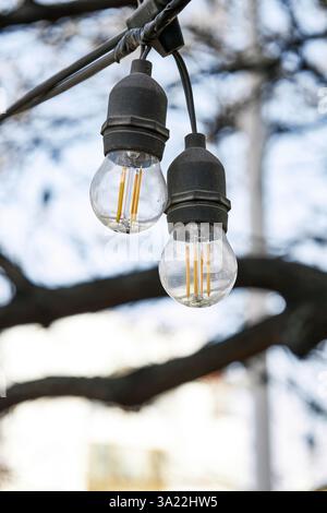 Lampe LED à deux filaments, guirlande de rue dans le parc Banque D'Images