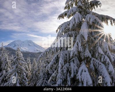 WA26419-00...... WASHINGTON -Mont Rainier depuis Trooper Ridge du 10th Mountain Devision Memorial Trail, réseau de sentiers du mont Tahoma. MR#S1 Banque D'Images