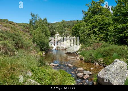 Les sources du Tarn se trouvent dans le Parc National des Cévennes, sur la commune de Pont de Montvert - Sud Mont Lozère (sud de la France). Banque D'Images
