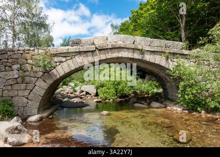 Pont sur le Tarn dans le Parc National des Cévennes, sur la commune de Pont de Montvert - Sud Mont Lozère (sud de la France) Banque D'Images