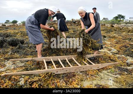 Plouguerneau (Bretagne, nord-ouest de la France) : 41ème édition de la 'Fête des goémoniers' célébrant les pêcheurs spécialisés dans la récolte des algues, à Banque D'Images