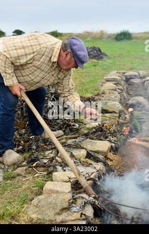 Plouguerneau (Bretagne, nord-ouest de la France) : 41ème édition de la 'Fête des goémoniers' célébrant les pêcheurs spécialisés dans la récolte des algues, à Banque D'Images