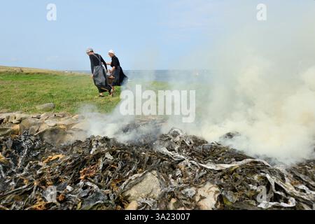 Plouguerneau (Bretagne, nord-ouest de la France) : 41ème édition de la 'Fête des goémoniers' célébrant les pêcheurs spécialisés dans la récolte des algues, à Banque D'Images