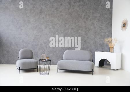 Un salon avec des murs gris et un mobilier gris doux. Espace libre pour votre conception. Photo de haute qualité Banque D'Images
