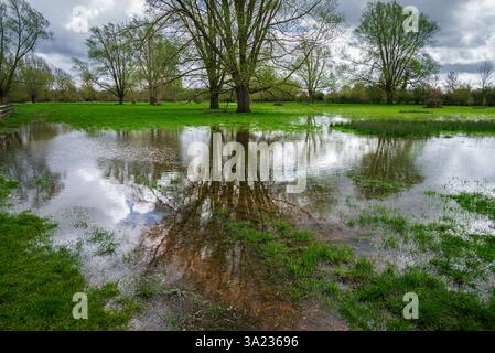 Un champ d’herbe dans le parc Ouzel Valley, Milton Keynes, est inondé d’eau de pluie après une forte averse, reflétant le temps intense du début du printemps Banque D'Images
