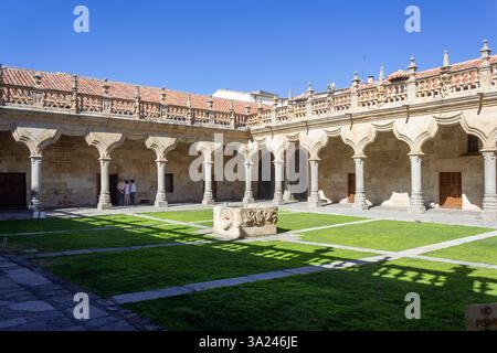 Salamanque, Castille et León, Espagne Banque D'Images