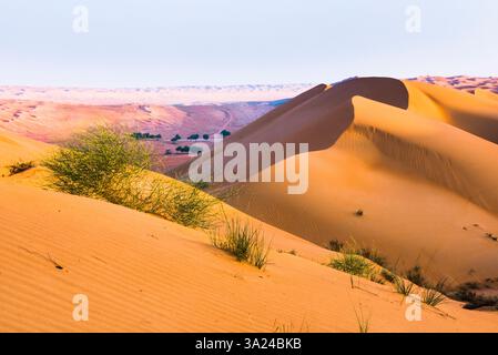 Dunes à Wahiba Sands ou Sharqiya Sands, Sultanat d'Oman, Péninsule arabique, moyen-Orient. // Sharqiya Sands, anciennement connu sous le nom de Wahiba Sands, reg Banque D'Images