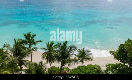 De grands palmiers se dressent au bord de la plage de sable blanc surplombant l'océan turquoise. Seychelles, Mahé. Petite Anse. Banque D'Images