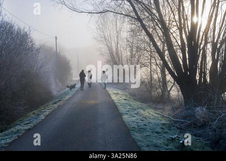 Sur le chemin de Radley Boathouse par la Tamise. Un de mes sentiers préférés, n'importe où. Il mène de mon village natal de Radley dans l'Oxfordshire, en Angleterre, à une partie pittoresque de la Tamise près de Radley Boathouse. Il parvient à paraître joli tout au long de l'année - et en particulier ici un matin d'hiver brumeux, juste après le lever du soleil. Un promeneur de chien et des joggers disparaissent dans les brumes... Banque D'Images