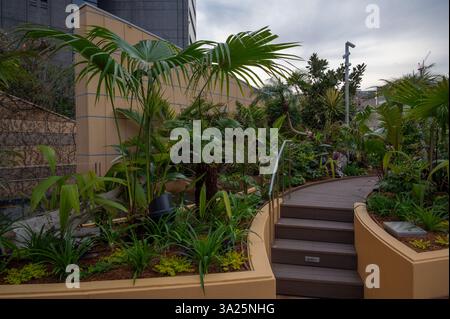 Namba Parks est un complexe commercial et de bureaux situé à Osaka, au Japon, avec un immeuble de bureaux de grande hauteur et un centre commercial avec jardin sur le toit. Banque D'Images