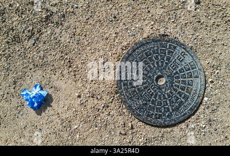 Un bouchon de compteur d'eau Star Pipe Products et une fleur artificielle sur le sol Banque D'Images