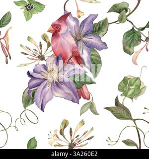 Modèle sans couture avec oiseau cardinal rouge assis sur des fleurs clématites violettes avec des vignes et des feuilles grimpantes vertes. Illustration botanique à l'aquarelle Banque D'Images