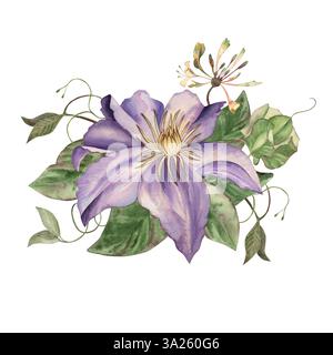 Clématites violettes sur les feuilles vertes, les branches, les vignes d'une usine de tissage. L'arrangement floral est peint à la main à l'aquarelle dans un style botanique. Pour Banque D'Images