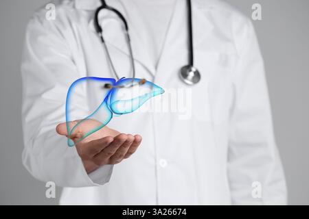 Docteur tenant illustration de foie sur fond gris, gros plan Banque D'Images