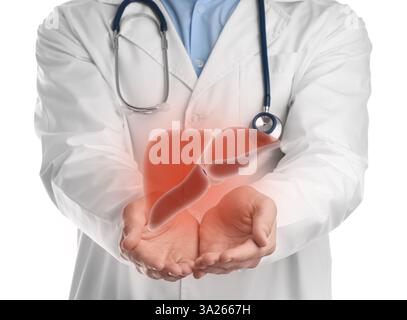 Docteur tenant illustration de foie sur fond blanc, gros plan Banque D'Images
