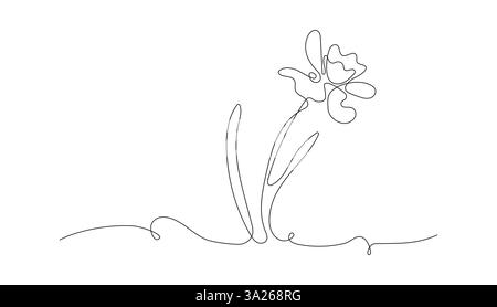 Fleur de Narcisse dans le style de dessiner une ligne continue. Bordure florale horizontale des premières fleurs printanières en forme de ligne branchée Design linéaire noir minimaliste, illustration vectorielle Illustration de Vecteur
