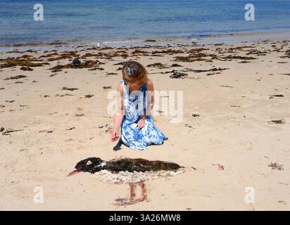 L'artiste Sara Holden crée une sculpture d'oiseau marin Hooded Plover à partir de matériaux naturels trouvés, tels que des coquillages de différentes couleurs et des algues marines. Banque D'Images