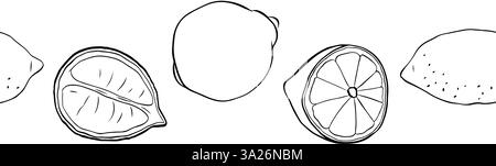 Citrons entiers et coupés bordure horizontale sans couture. Vecteur d'encre graphique Black and White Citrus Lemons line Conception pour menu, paquet, cosmétique, textil Illustration de Vecteur