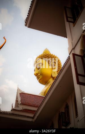 Thaïlande voyage nature bangkok kao sok Banque D'Images