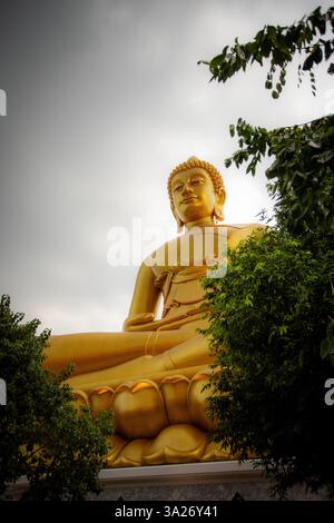 Thaïlande voyage nature bangkok kao sok Banque D'Images