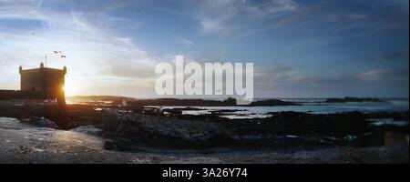 Bord de la médina sur la côte atlantique, Essaouira, Maroc Banque D'Images