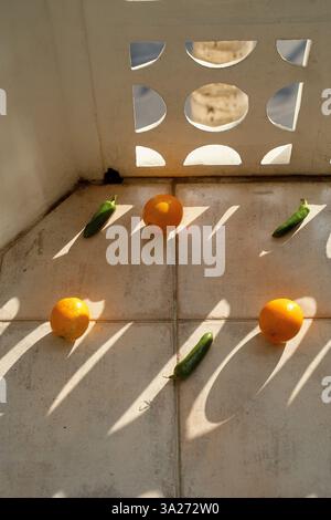 Oranges et concombres disposés à la lumière du soleil sur un sol carrelé à côté d'un mur à motifs. Miami, Floride, États-Unis Banque D'Images