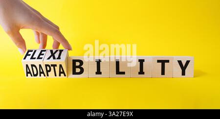 Symbole de flexibilité et d'adaptabilité. Homme d'affaires tourne les cubes à la main et change l'adaptabilité des mots à la flexibilité. Beau fond gris. Affaires c Banque D'Images