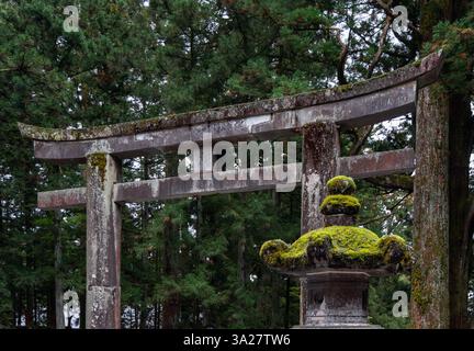 Ancienne porte torii en pierre au sanctuaire Toshogu à Nikko Japon recouverte de mousse et entourée de grands cèdres avec une lanterne en pierre traditionnelle dans le Banque D'Images