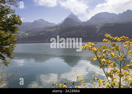 Vue de la rive nord aux montagnes au sud du lac Walen, Amden, réunis Gallen, Suisse, Europe Banque D'Images