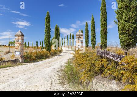 Porte du Vallée avec avenue des cyprès colonnaires (Cupressus sempervirens) près de Sienne, Toscane, Italie, Europe Banque D'Images