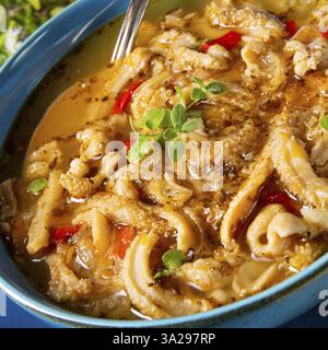 Flaczki soupe de tripes fraîche et épicée aux herbes Banque D'Images