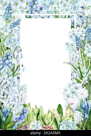Illustration aquarelle de cadre de printemps avec jacinthes blanches et bleues, proles, muscari et autres fleurs. Design floral délicat avec de la verdure, parfait pour les invitations de mariage et de vacances, les cartes et les décorations. Cadre fini au format A4. Banque D'Images