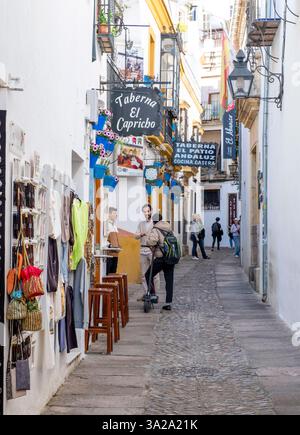Rue latérale dans la ville de Cordoue Andalousie, Espagne Banque D'Images
