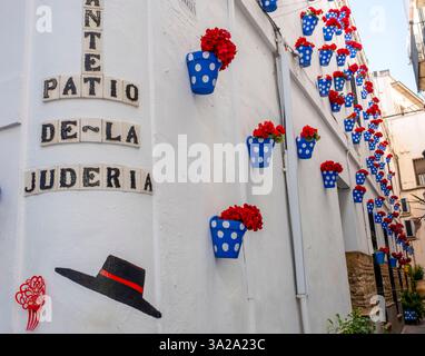 Des pots de fleurs colorés décorent les murs du Patio de-la Juderia, Cordoue, Andalousie, Espagne Banque D'Images