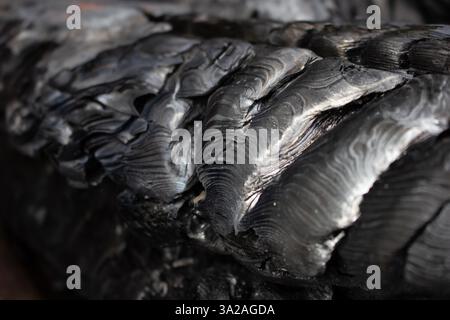 Vue rapprochée du bois de feu carbonisé. Banque D'Images