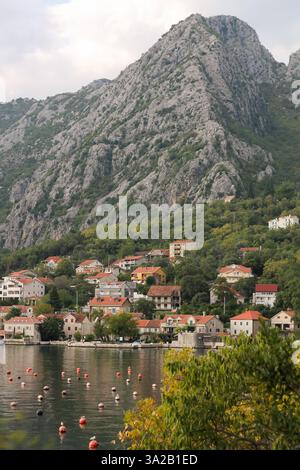 Vue panoramique sur une ville côtière, Donji Orahovac, dans la baie de Kotor, Monténégro, avec de charmantes maisons en pierre surplombant la mer calme. Banque D'Images