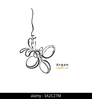 Étiquette d'arbre d'Argan. Noix de ligne d'art vectoriel, feuilles graphiques. Illustration d'esquisse sur fond blanc. Huile essentielle bio. Arôme cosmétique beauté et spa Illustration de Vecteur