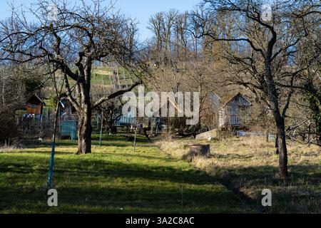 Vieux jardins et vignobles sur le Lemberg près de Stuttgart Feuerbach. Banque D'Images