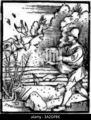 Cette impression de Dürer capture le travail au trait complexe et l'ombrage, améliorant efficacement le sens de la dimension et du réalisme dans le sujet religieux ou mythologique. Banque D'Images