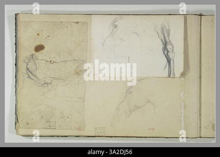 Cette pièce représente une étude détaillée de la tête d’un cheval, mettant l’accent sur les caractéristiques anatomiques et la maîtrise de la forme et de l’ombrage par l’artiste. Banque D'Images