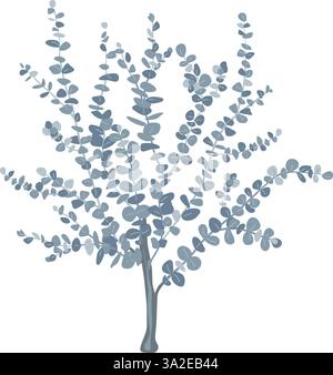 Petit bébé bleu eucalyptus illustration vectorielle isolée. Jeune plante d'eucalyptus argent dollar Illustration de Vecteur